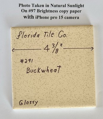 1 pc. Buckwheat 4-3/8'' Glossy Ceramic Tile by Florida Tile Co.  NOS, Speckled