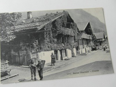 AK Bernese Oberland chalets children, pine, woman, children's houses, plants not used