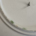 Picture 18 of 24