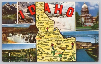 Idaho ID State Map Multi-View Postcard Mike Roberts Natural Color
