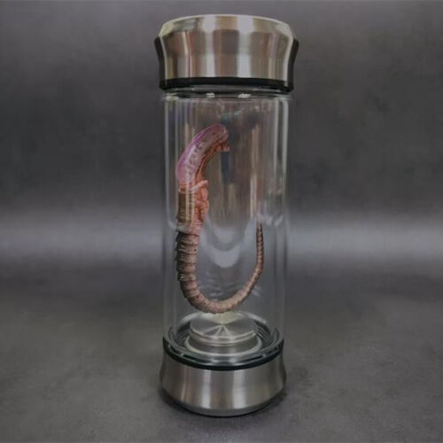 Alien Jar Xenomorph Specimen Facehugger Embryo Glass Jar Movie Prop Replica - Picture 3 of 11