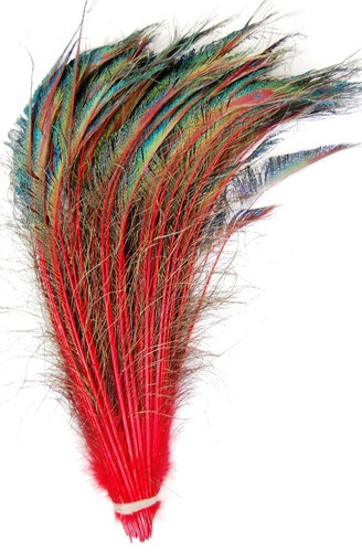 Dyed Feather PEACOCK SWORDS 10-25" In Many Colors; Costume/Hats/Halloween - Picture 3 of 5