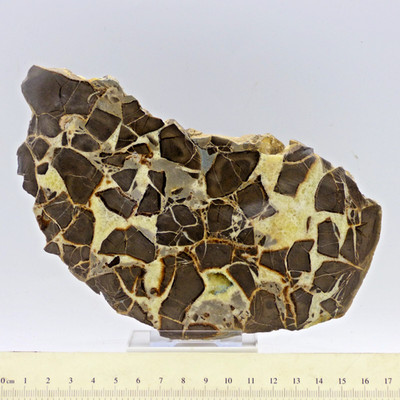 Septarischer Natur Kristall Scheibe Drachenstein Madagaskar 17 x 9 cm + Aufsteller