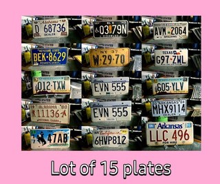 LICENSE PLATE LOT "B" Old new all original plates 15 plates in the group
