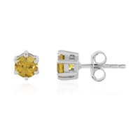 Cavill Skapolith Ohrstecker 0,83Ct Silber 925 Platin Damen Schmuck- Ohrringe FüR