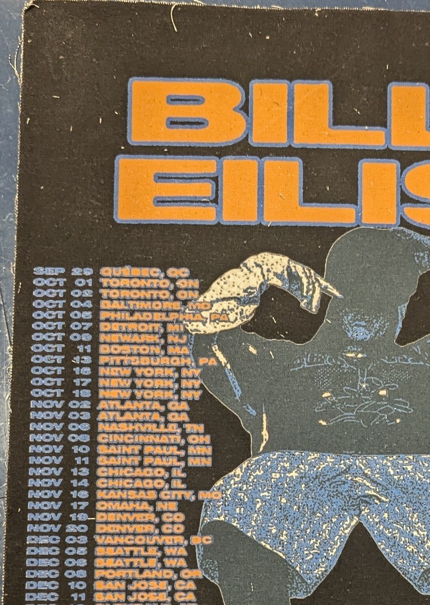 Billie Eilish Original Concert Fabric Tour Poster 2024/25