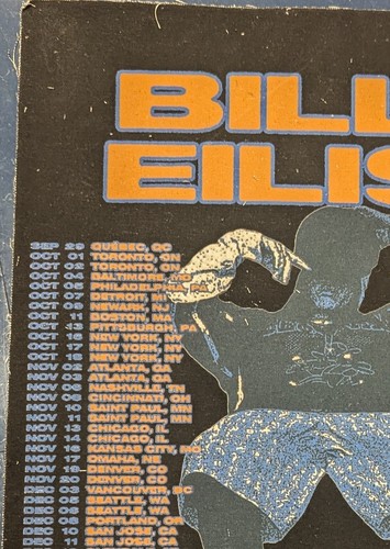 Billie Eilish Original Concert Fabric Tour Poster 2024/25, Madison Square Garden - Picture 2 of 5