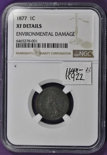 1877 Indian Head Cent.  In NGC Holder.  XF Details.  K922