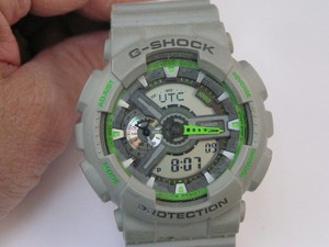 ga110ts