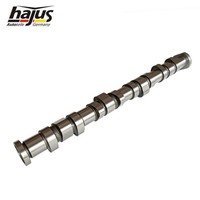 Hajus Nockenwelle Einlass Auslass Mini Cabriolet R50 R53 R52 Cooper One
