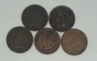 1889 1896 1898 1906 1908 Indian Head Cent Lot of 5