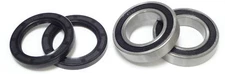 Suzuki LT-250R Quadracer Rear Axle Wheel Carrier Bearings Seals Kit 1985 - 1992
