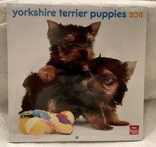 YORKSHIRE TERRIER  PUPPIES  2011  MINI WALL  CALENDAR  7" X 7"   NEW SEALED