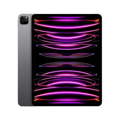 12in iPad | eBay