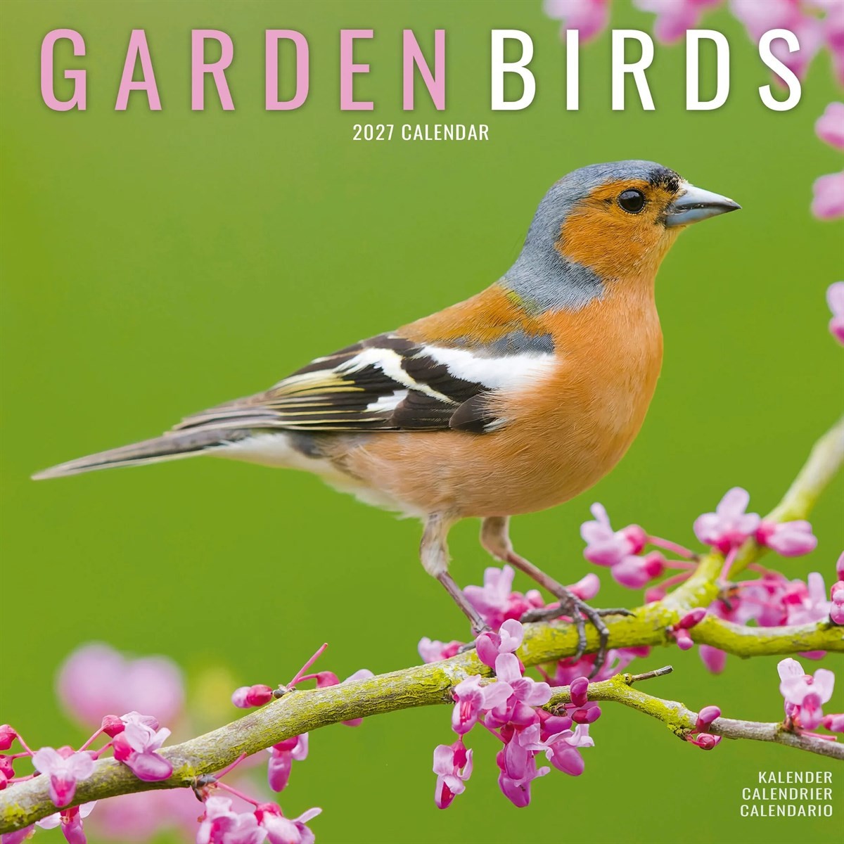 Garden Birds Calendar 2027, Wall Calendars, Month To View, Animals, Gift - Image 4