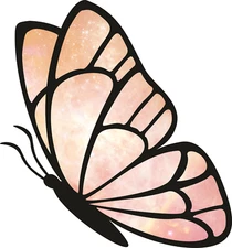 Car Decal Sticker Cosmic Butterfly Decal