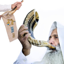 Handcrafted Kosher Ram Shofar from Israel   14"-16" Musical Horn with Shofar Bag