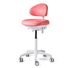 Dental Doctor Stool Adjustable Height Mobile Backrest seat Chair Silent Wheels