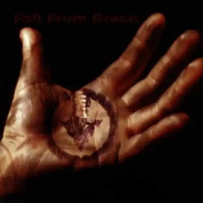 Fall from Grace - Fall from Grace ZUSTAND SEHR GUT