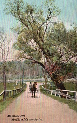 Postcard MA Middlesex Fells near Boston Divided Back Vintage PC M4474
