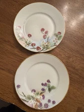 2 Rosenthal  Selb Bavaria Berries Dessert /bread Plates Gallery Wall