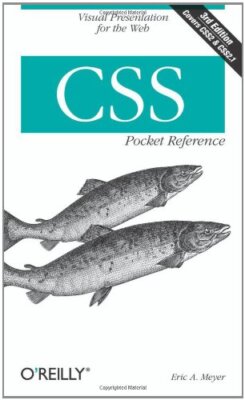 CSS Pocket Reference: Visual Presentation for the Web (Pocket Re