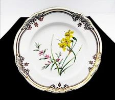 Spode Stafford Flowers Luncheon Plate 9¼ Narcissus & Crowea England Gilt LPM4 #2