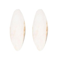 Cuttlefish Bone 2 Pieces Parakeet Cuttlebone Beak Teether 5.9-7.8 In For Safety