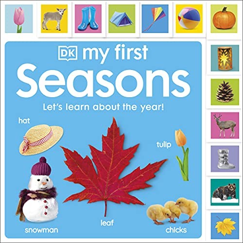 My First Seasons: Let's Learn About The Year! Dk - Image 13
