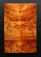 Stabilized Match Book /Dyed Maple Wood Burl/Knife Handle/ Gun Grip MB231 2Pc