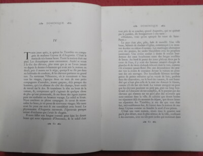 Dominique de Eugène Fromentin - Flammarion