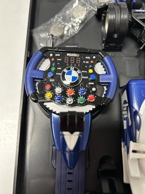 Williams F1 Team BMW FW26 1:24 Scale Remote Control Car