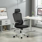 Mesh Office Chair with Adjustable Headrest, Lumbar Support