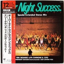 Teri Desario, Joey Carbone, Richie Zito - Overnight Success / VINYL / VG+ / 1...