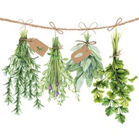 20 Papierservietten, Servietten Fresh Herbs / KräUter Ambiente 33X33Cm