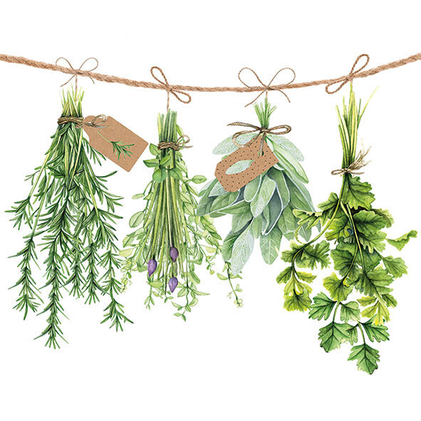 20 Papierservietten, Servietten Fresh Herbs / KräUter Ambiente 33X33Cm-image