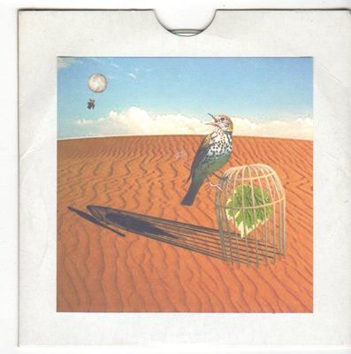 (FA36) Patrick Briscoe, Colours Will Fly - 2007 DJ CD