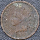 1895  VF, Spots of corrosion,   Indian Head Cent