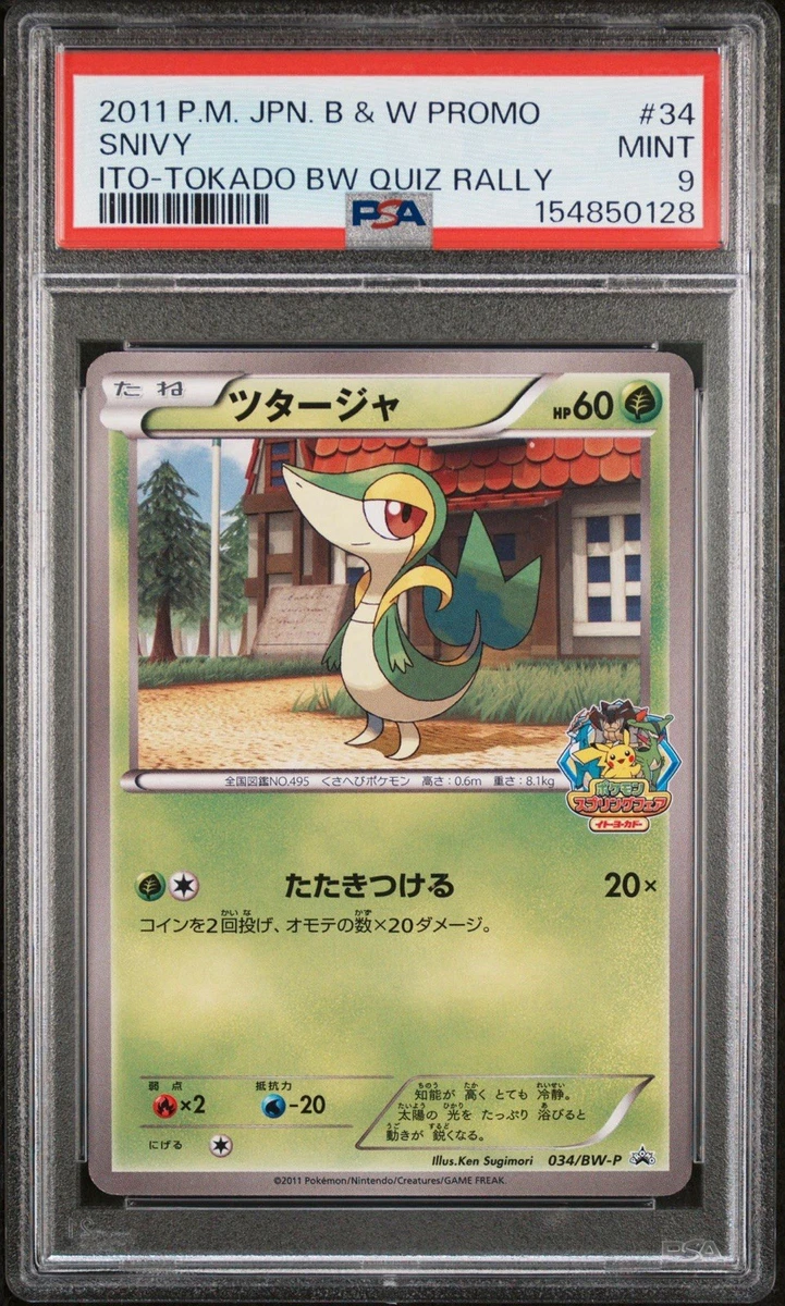 Terrakion Pokémon TCG Professional Sports Authenticator (PSA