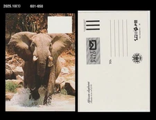 Wildlife,Elephant,Animal,Nature,New Zealand Postal Stationery Card,PSC