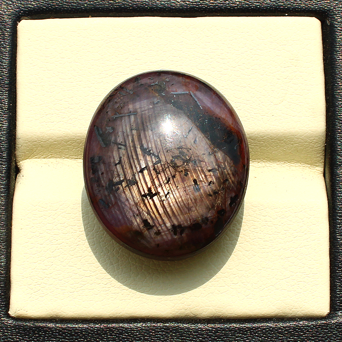 Picture 16 of 17