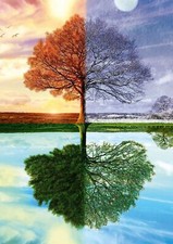 LAURA GEORGE - DER JAHRESZEITEN-BAUM - Schmidt Puzzle 58223 - 500 Teile Pcs.
