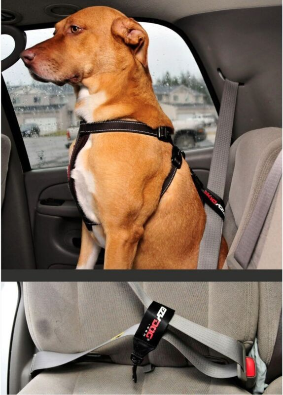 Dog Seat Belt Restraint Attachment for Car by EzyDog for
