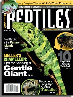 Reptiles - 2014, October - Meller's Chameleon, Canary Islands, Turtle Tank