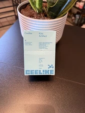 Ceelike Kiss Artifact Probiotics Freshening Oral Spray