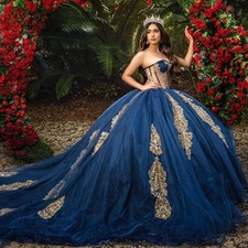 Exquisite Sweetheart Quinceanera Dresses Tulle Cathedral Train Lace up Ball HOT