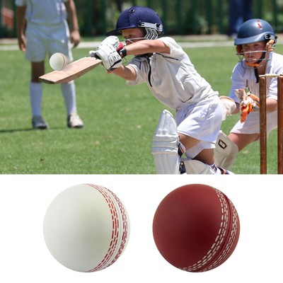 Cricket Ball Sports Wind Cricket Balls Sports Wind Indoor Outdoor Soft Realistic