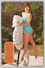 Spring Hill FL Lovely Weeki Wachee Mermaid Poses, Bubbles The Seahorse Postcard