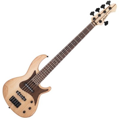 Aria Pro II RSB-700WP/5 N 5-String Electric Bass USA Ash Body Maple Walnut Neck