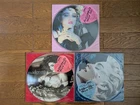 MADONNA 1987 Japan Lot of 3 PICTURE DISC LP First Album Like A Virgin True Blue
